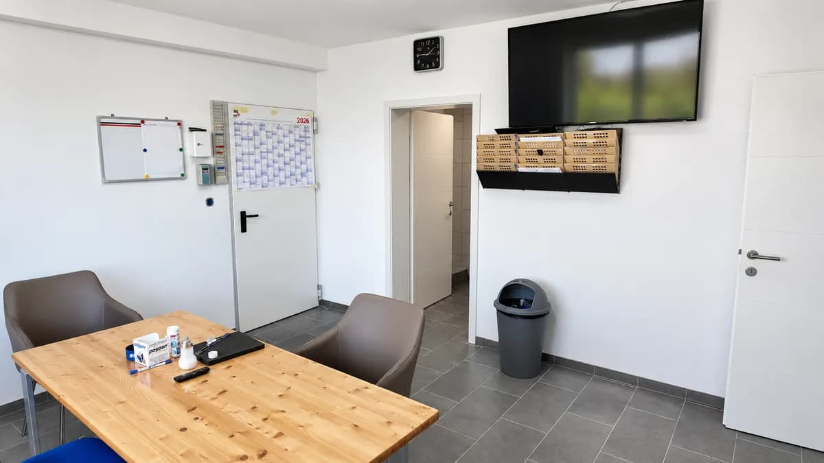 3-Zimmer-Gewerbeimmobilie mieten in Tulln – 220 m², € 1.690 – Bild 5 von 8