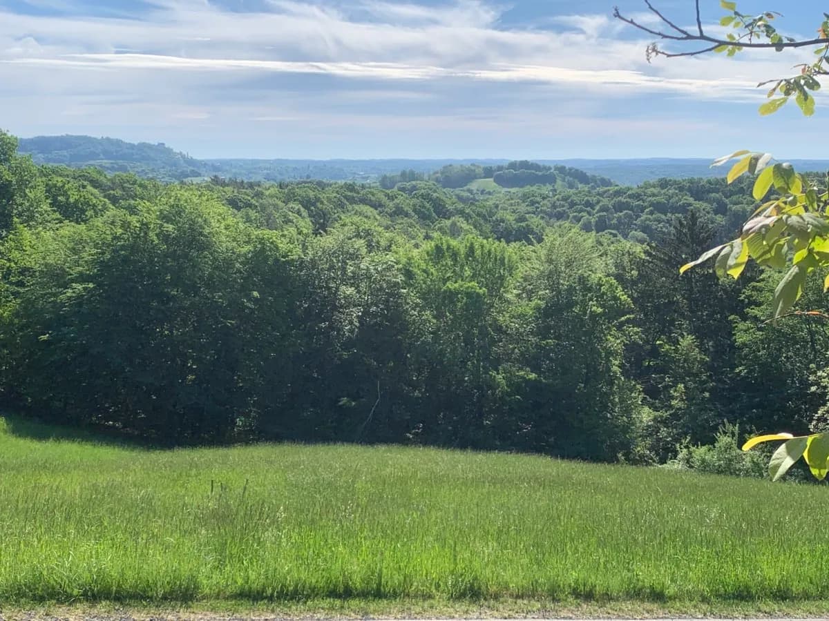 Grundstück kaufen in Südoststeiermark – 3 940 m², € 185.000 – Bild 2 von 6