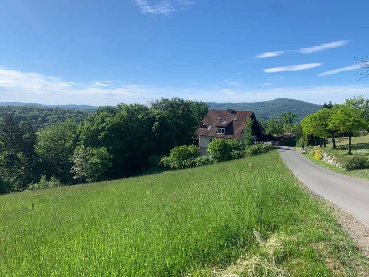 Grundstück kaufen in Südoststeiermark – 3 940 m², € 185.000 – Bild 3 von 6