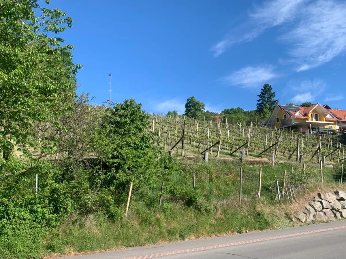 Grundstück kaufen in Südoststeiermark – 3 940 m², € 185.000 – Bild 6 von 6