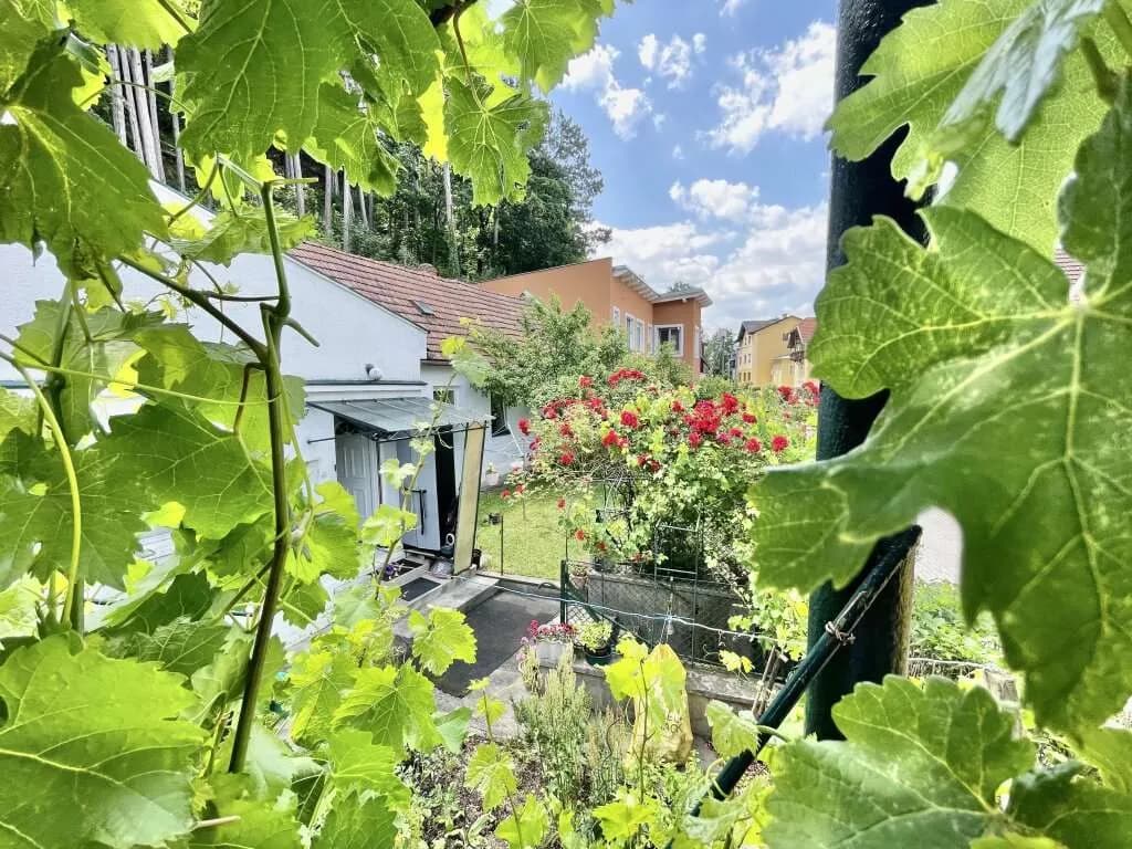 4-Zimmer-Haus kaufen in Baden – 90 m², € 219.000 – Bild 2 von 16