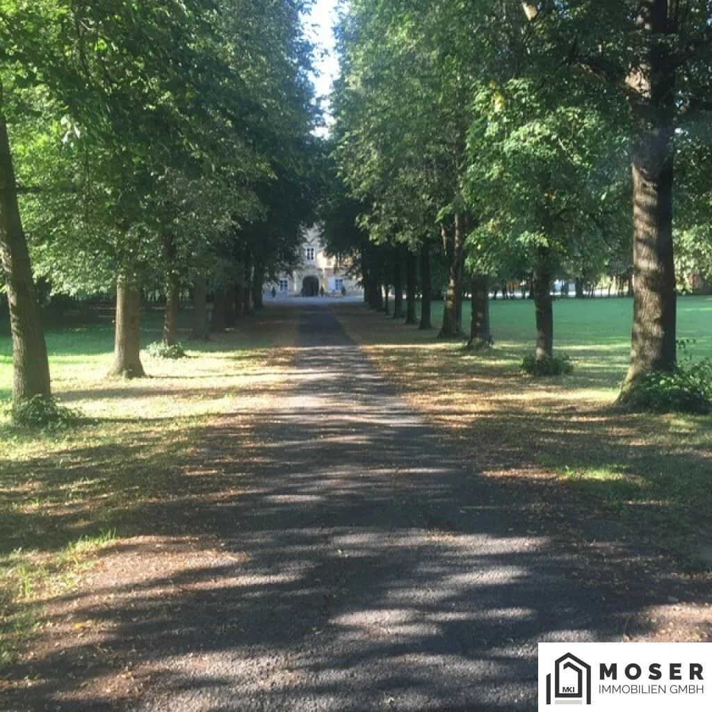 Immobilie kaufen in Murtal – 21 396 m², € 1.200.000 – Bild 4 von 18