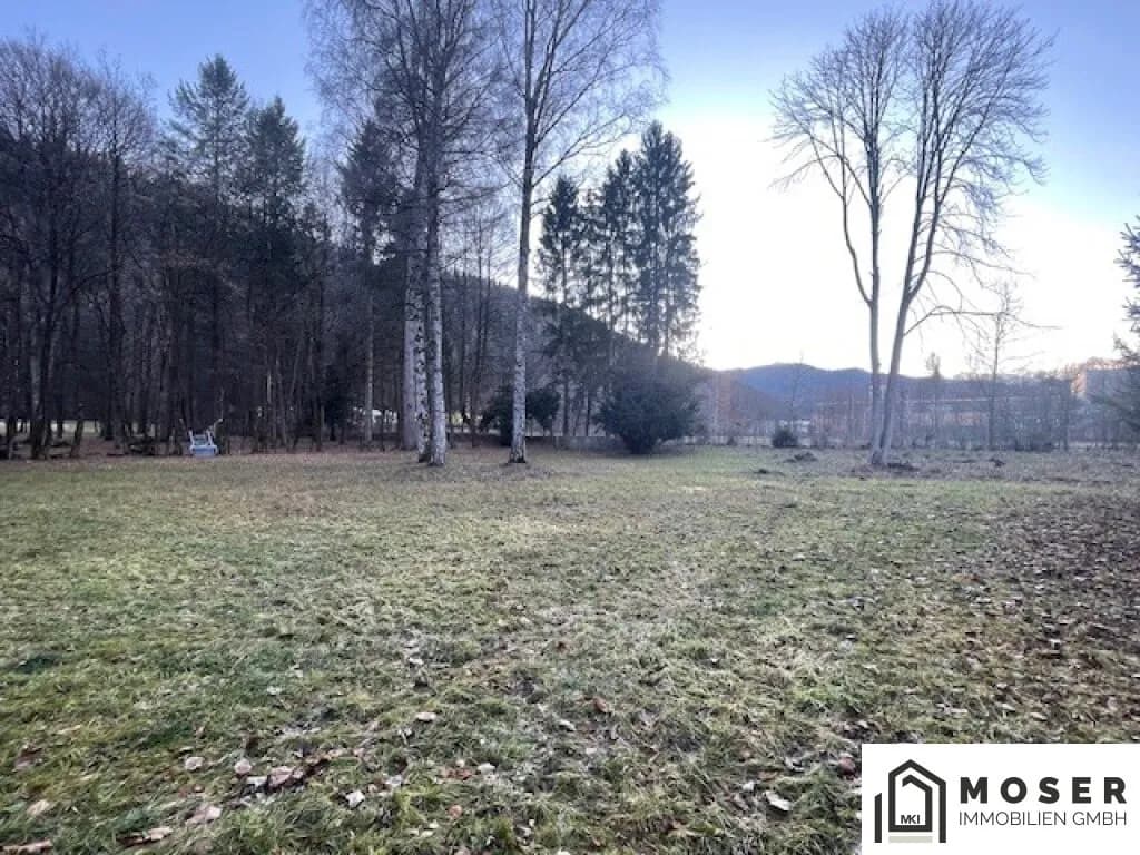 Immobilie kaufen in Murtal – 21 396 m², € 1.200.000 – Bild 5 von 18