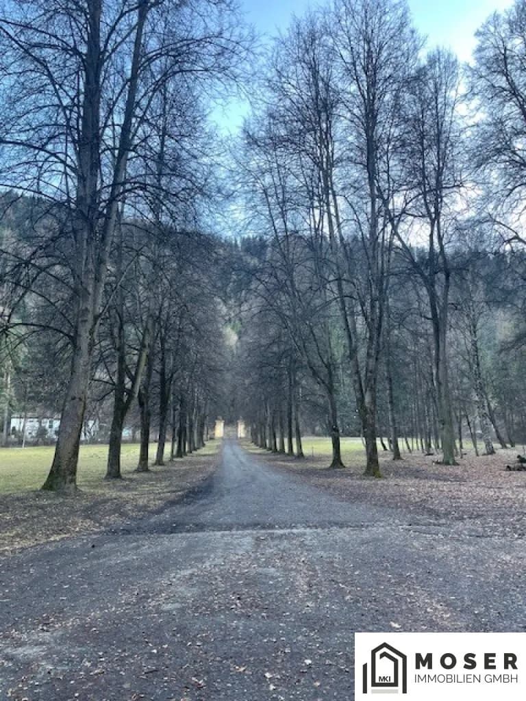 Immobilie kaufen in Murtal – 21 396 m², € 1.200.000 – Bild 7 von 18