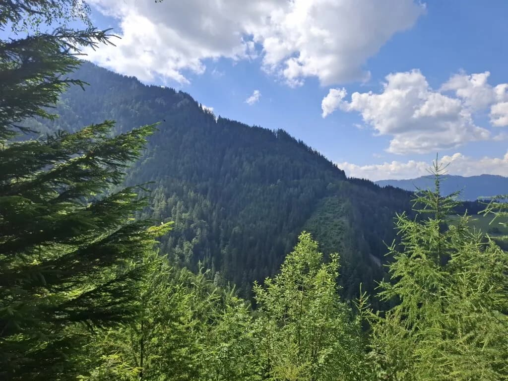 Immobilie kaufen in Bruck-Mürzzuschlag – 326 760 m² – Bild 3 von 5