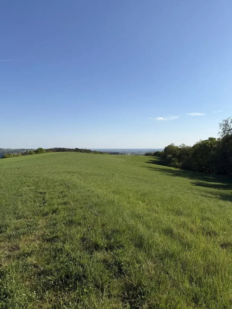 Grundstück kaufen in Oberwart – 1 573 m² – Bild 2 von 8
