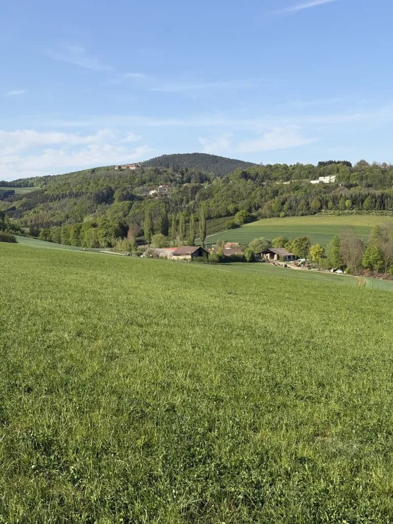 Grundstück kaufen in Oberwart – 1 573 m² – Bild 3 von 8