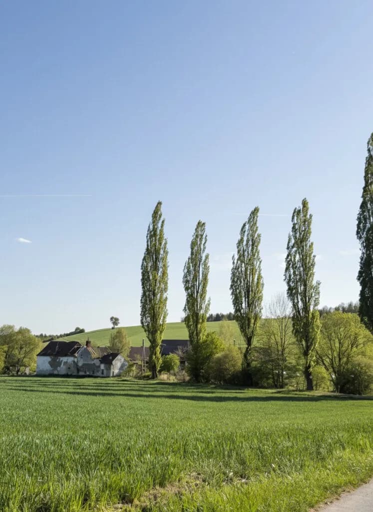 Grundstück kaufen in Oberwart – 1 573 m² – Bild 4 von 8