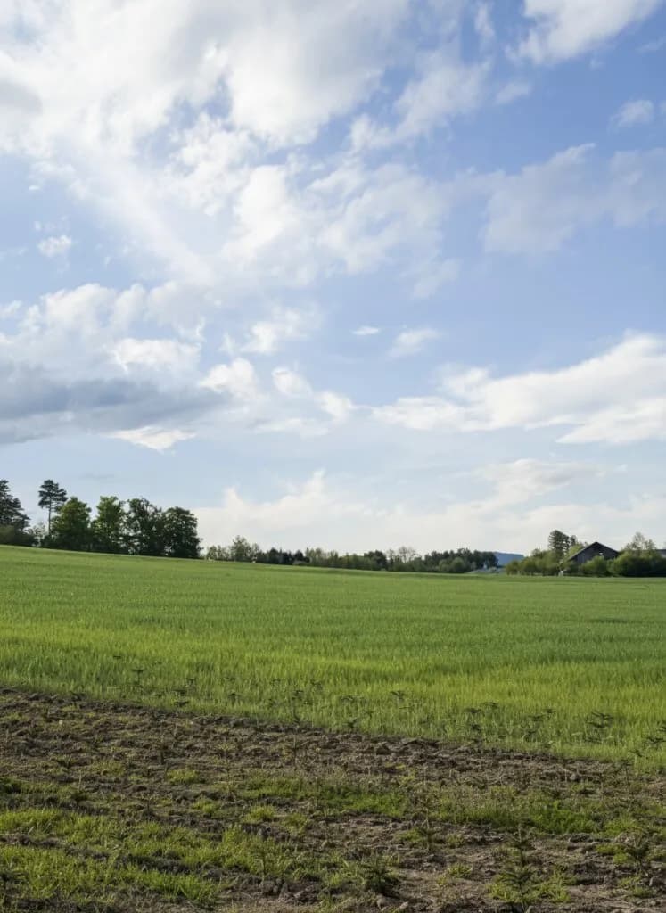 Grundstück kaufen in Oberwart – 1 573 m² – Bild 7 von 8
