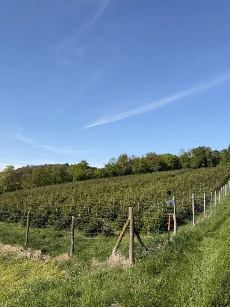 Grundstück kaufen in Oberwart – 1 573 m² – Bild 8 von 8