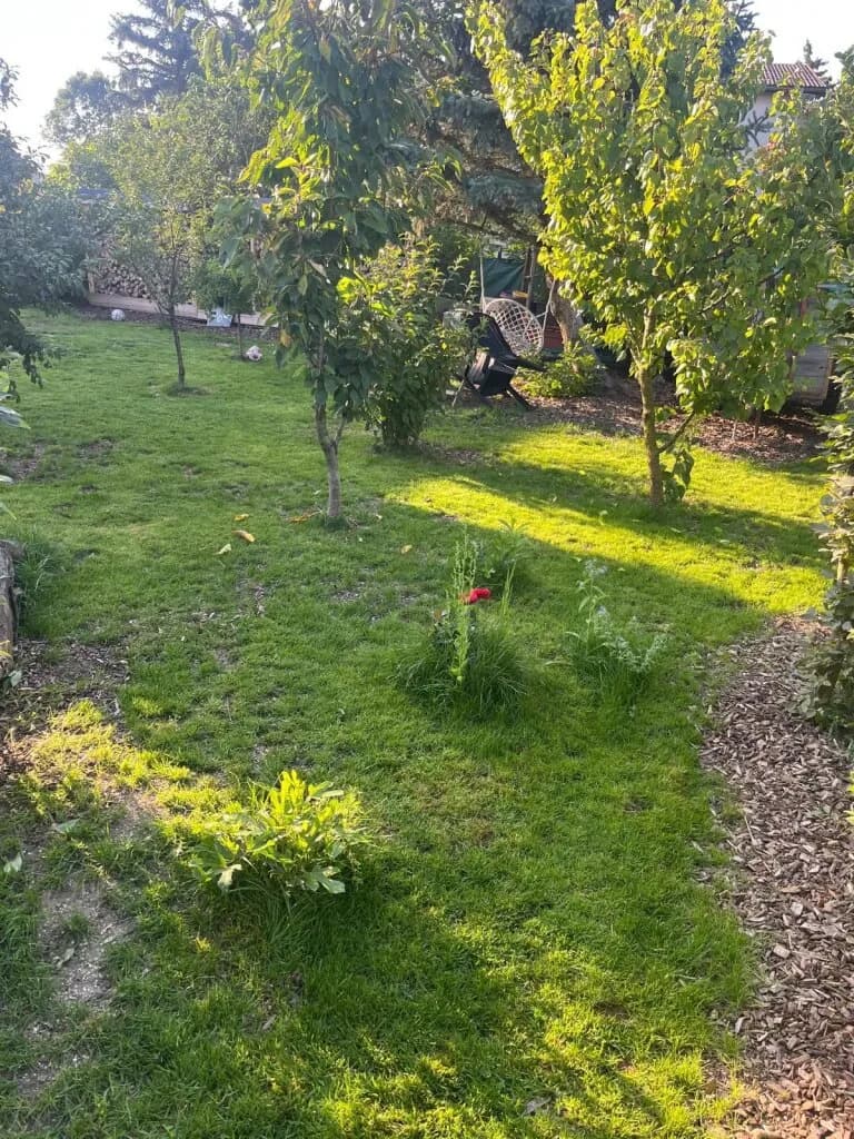 Haus kaufen in Mistelbach – 105 m², € 325.000 – Bild 7 von 24