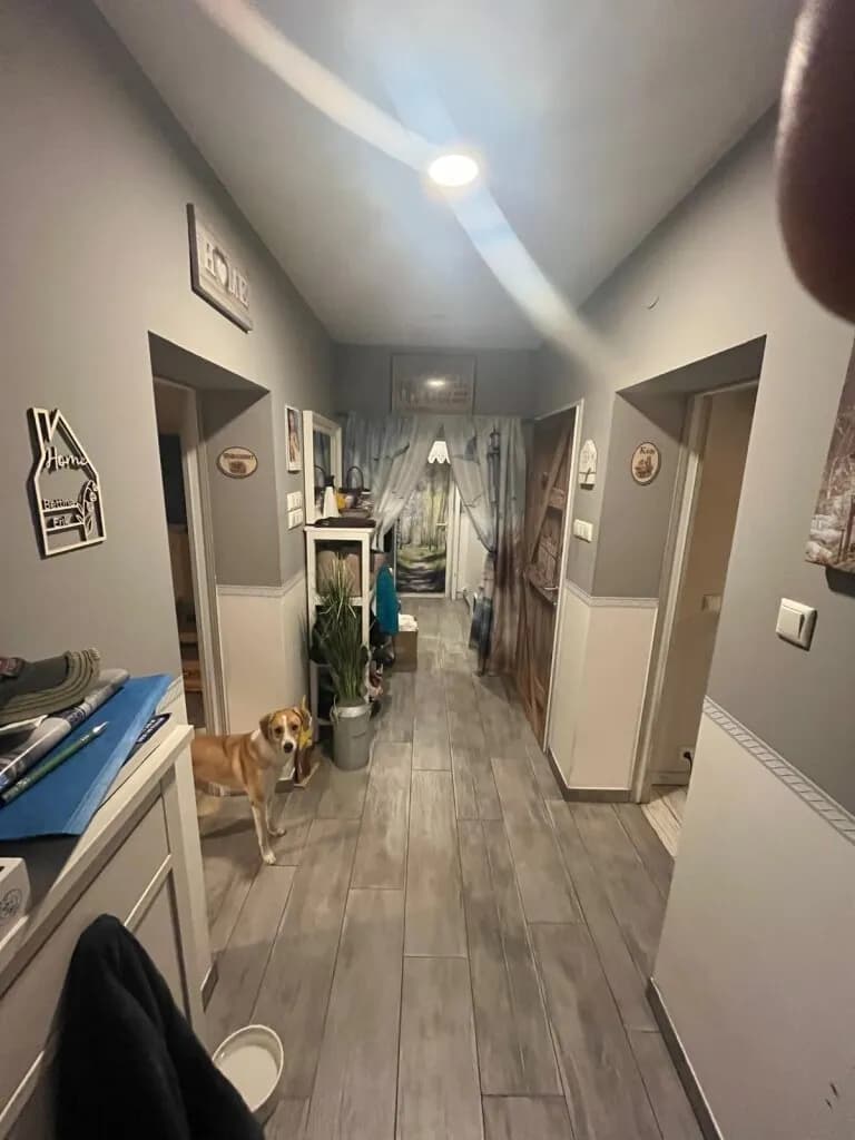 Haus kaufen in Mistelbach – 105 m², € 325.000 – Bild 18 von 24