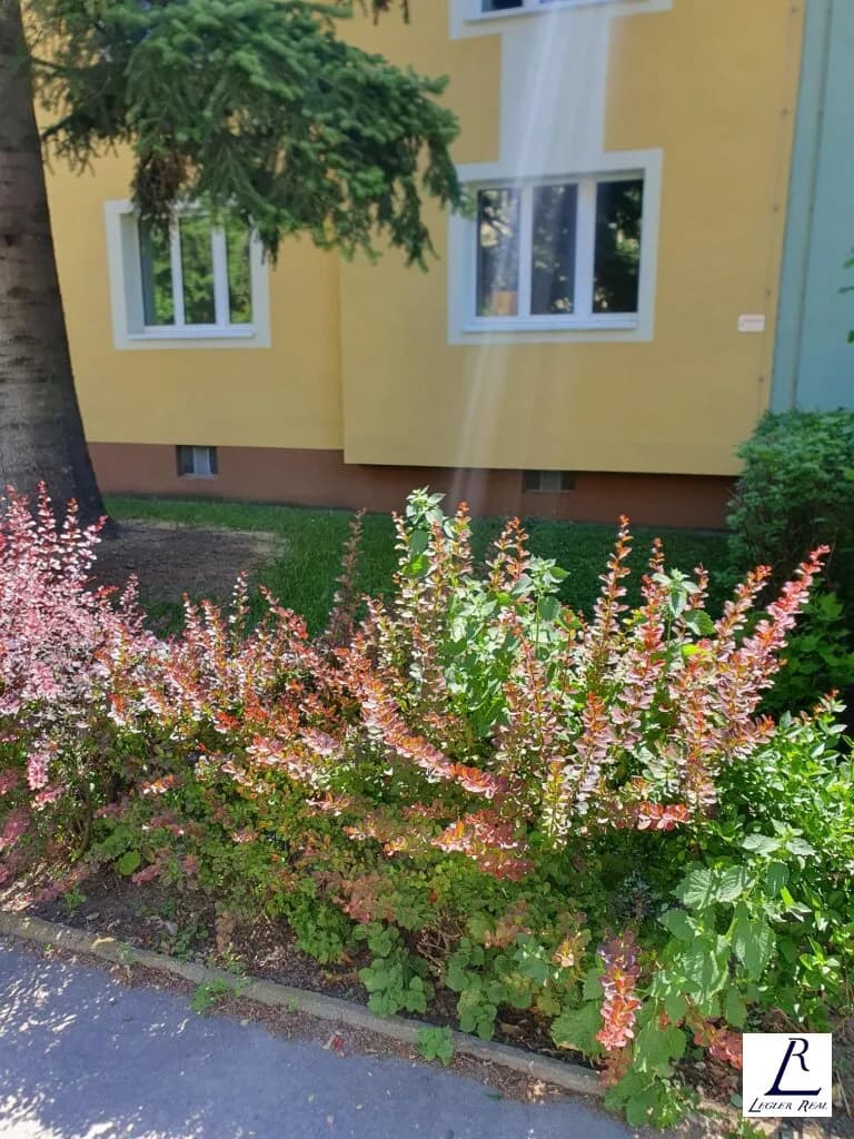 3-Zimmer-Wohnung kaufen in Wien – 81 m², € 345.000 – Bild 2 von 20