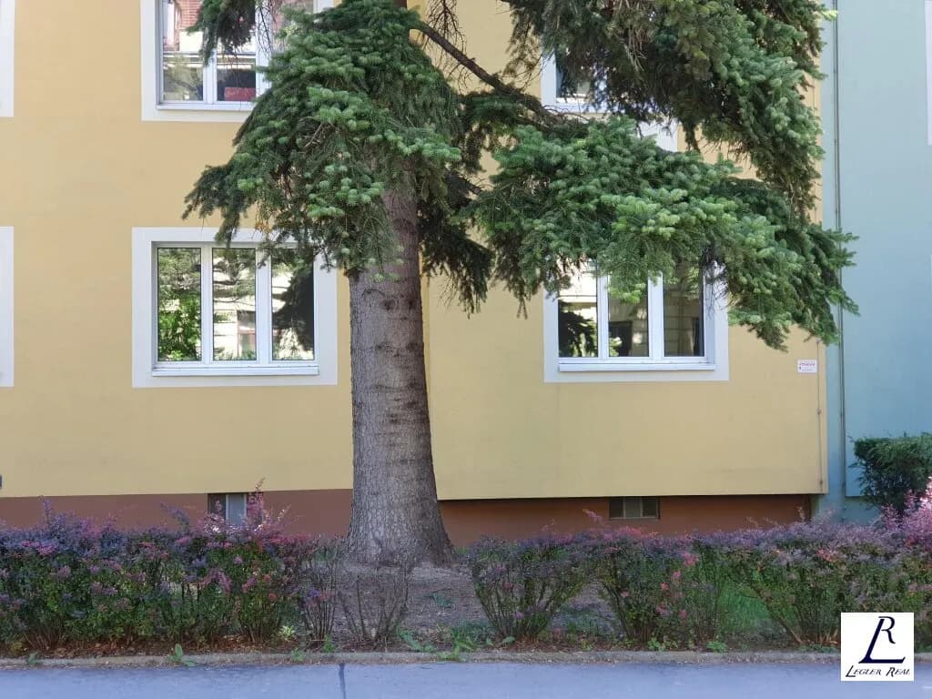 3-Zimmer-Wohnung kaufen in Wien – 81 m², € 345.000 – Bild 3 von 20