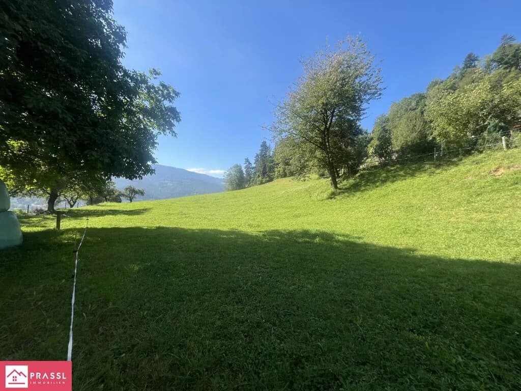 Grundstück kaufen in Leoben – 24 165 m², € 1.600.000