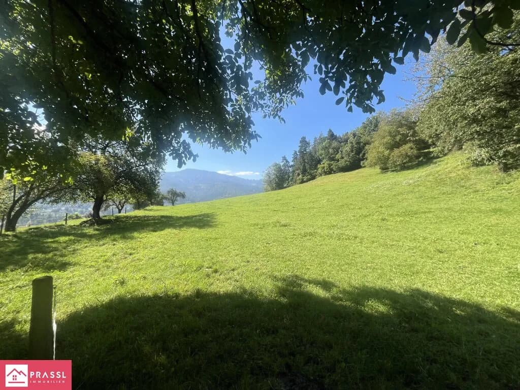 Grundstück kaufen in Leoben – 24 165 m², € 1.600.000 – Bild 3 von 20