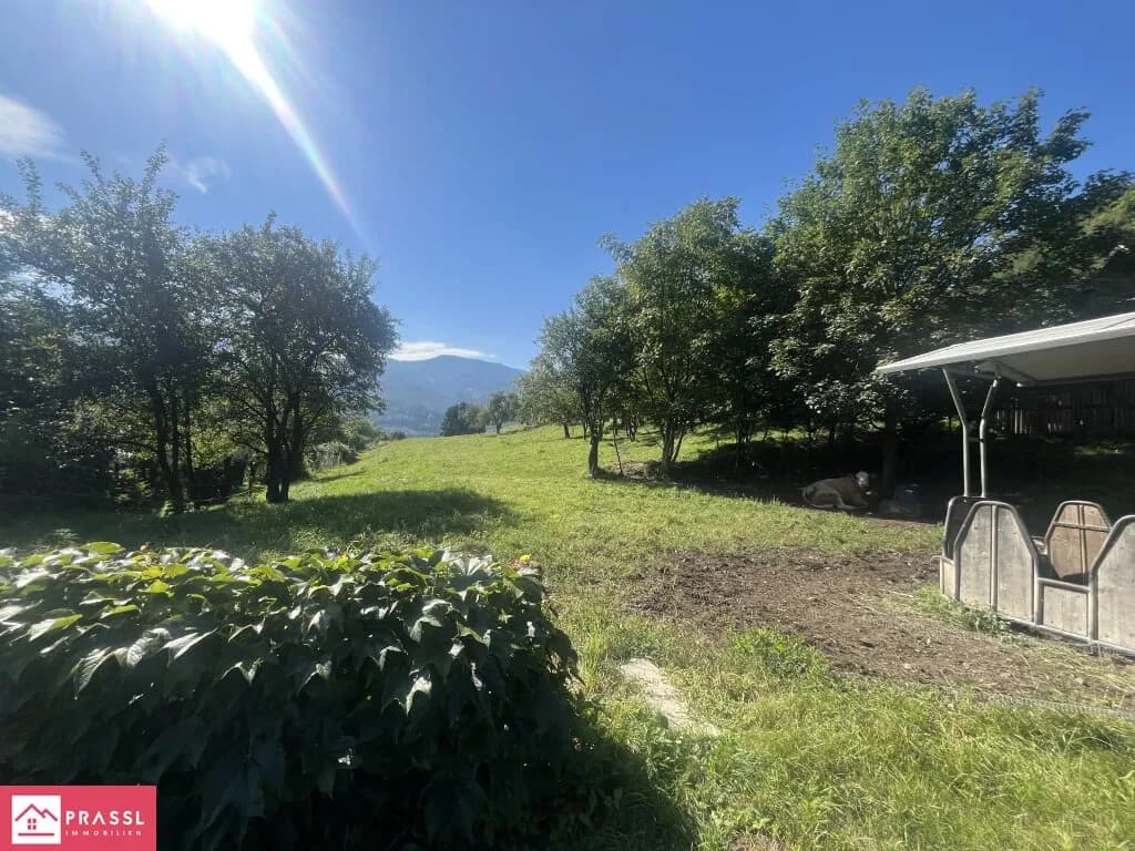 Grundstück kaufen in Leoben – 24 165 m², € 1.600.000 – Bild 9 von 20