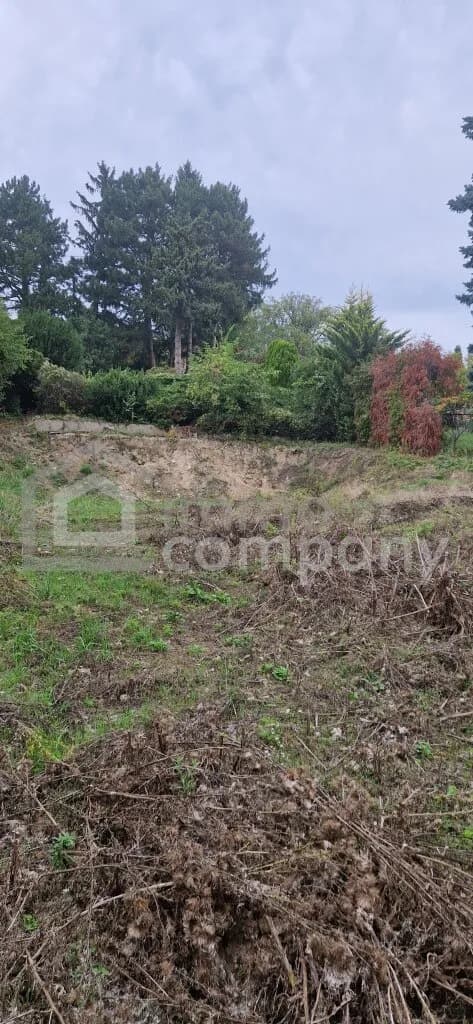 Grundstück kaufen in Wien – 980 m², € 2.900.000 – Bild 4 von 9