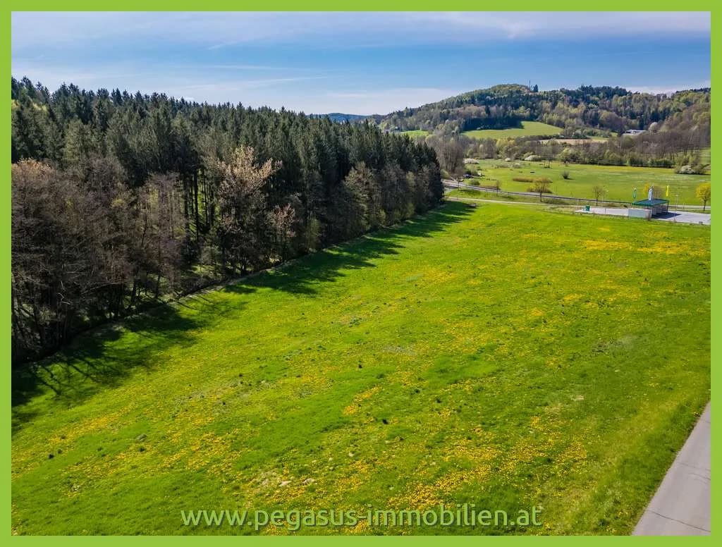 Grundstück kaufen in Südoststeiermark – 21 138 m², € 243.087 – Bild 2 von 5