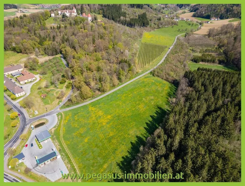 Grundstück kaufen in Südoststeiermark – 21 138 m², € 243.087 – Bild 3 von 5