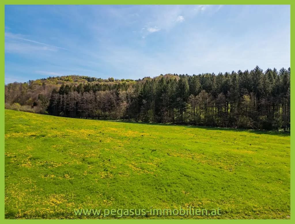 Grundstück kaufen in Südoststeiermark – 21 138 m², € 243.087 – Bild 4 von 5