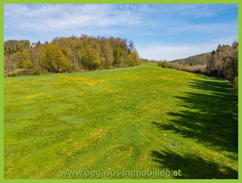 Grundstück kaufen in Südoststeiermark – 21 138 m², € 243.087 – Bild 5 von 5
