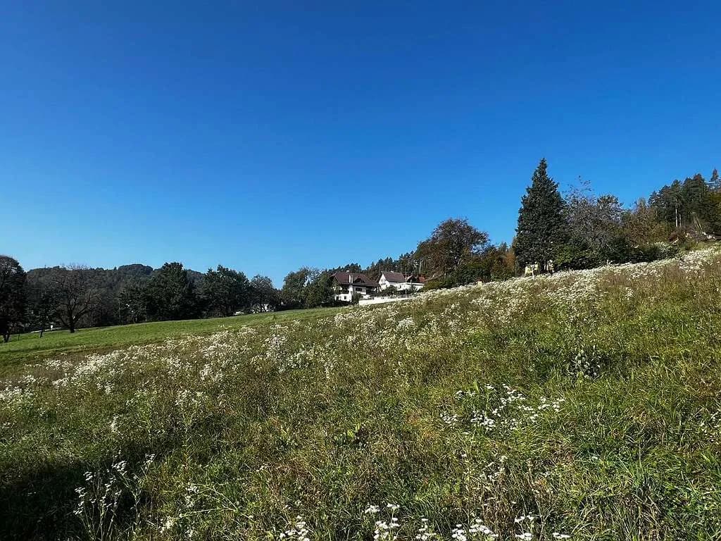 Grundstück kaufen in Klagenfurt Land – 860 m², € 124.950 – Bild 4 von 5