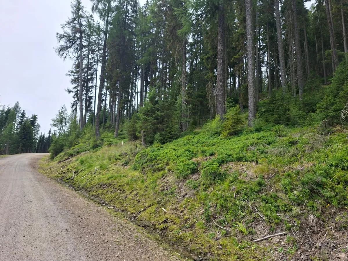 Grundstück kaufen in Tamsweg – 245 071 m², € 391.500 – Bild 2 von 5