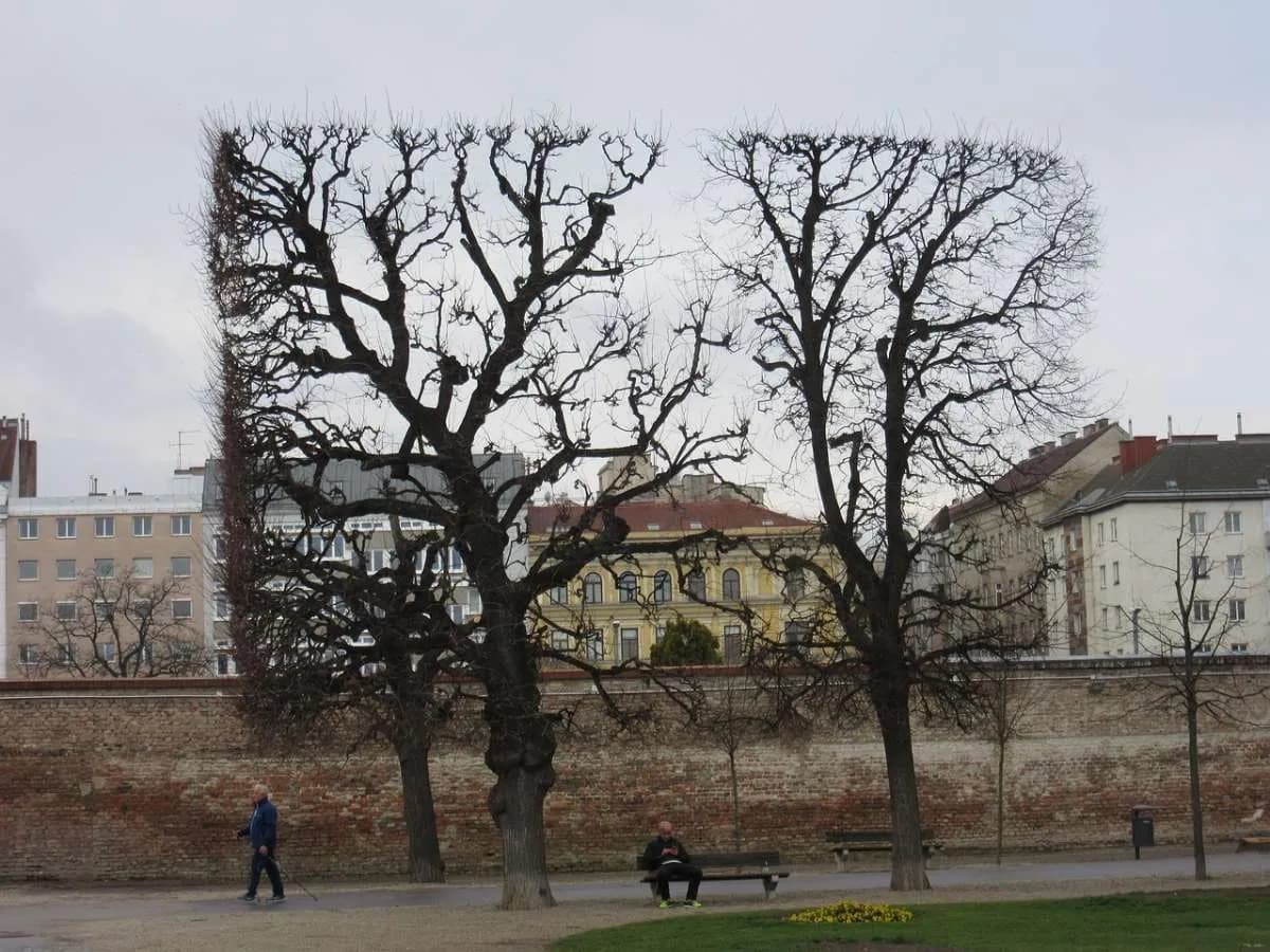 Gewerbeimmobilie mieten in Wien – 527 m², € 10