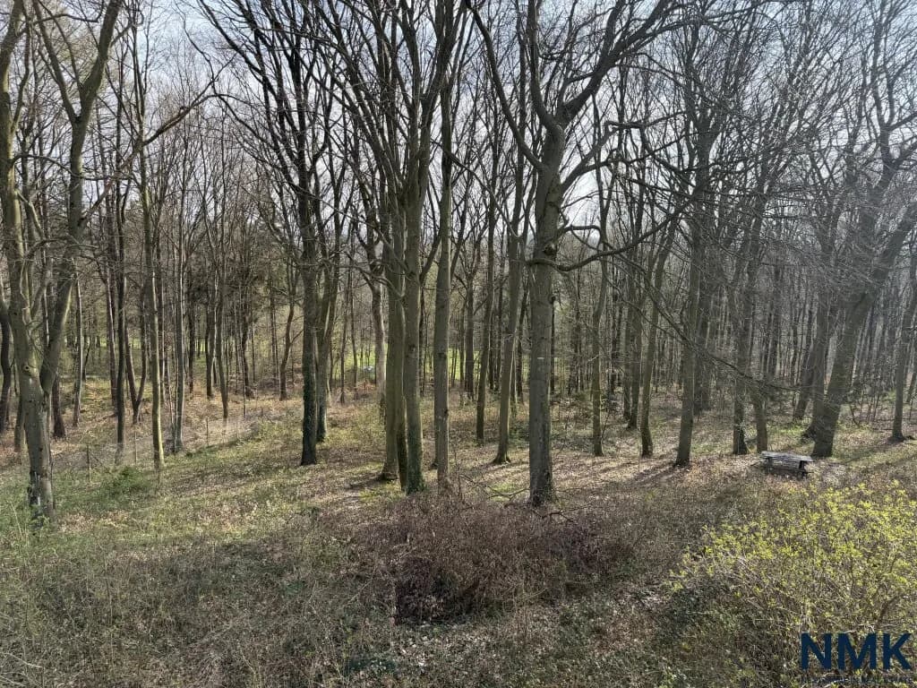11-Zimmer-Haus kaufen in Tulln – 510 m², € 1.500.000 – Bild 29 von 34
