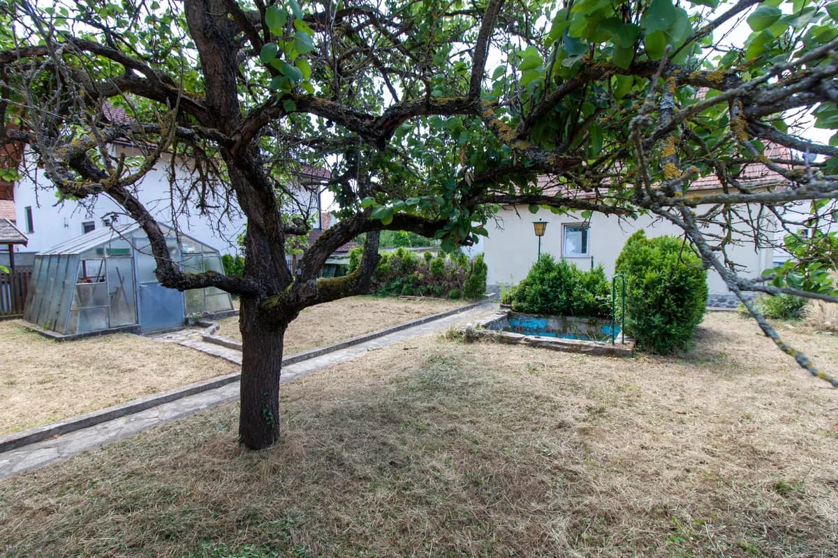 Haus kaufen in Horn – 65 m², € 155.000 – Bild 3 von 4