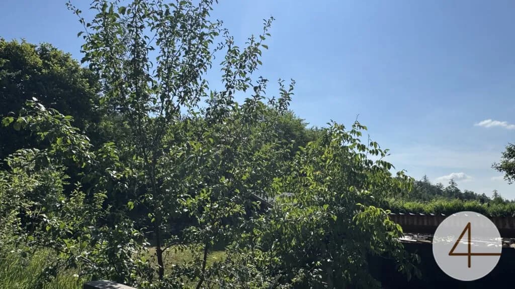 Haus kaufen in Hollabrunn – 221 m², € 300.000 – Bild 16 von 20