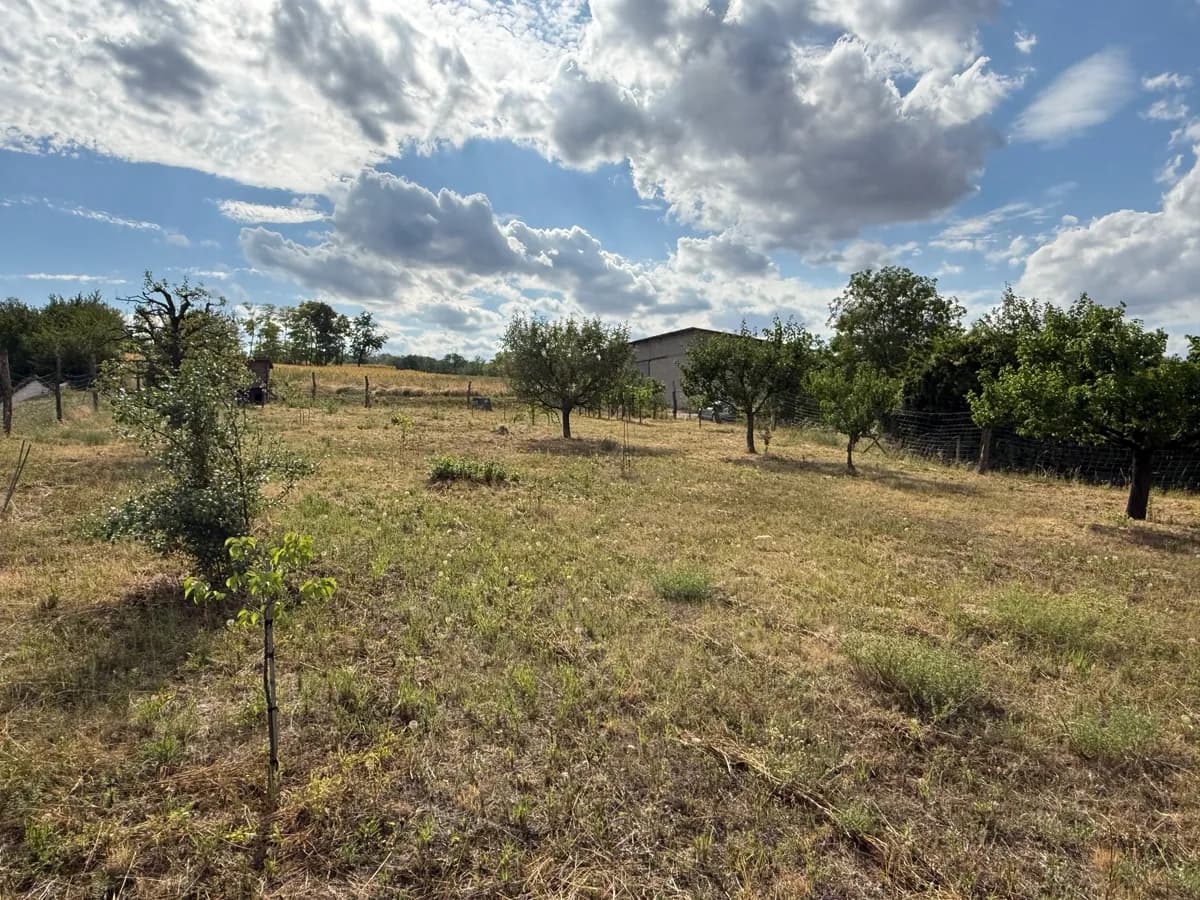 Grundstück kaufen in Hollabrunn – 1 410 m² – Bild 2 von 9