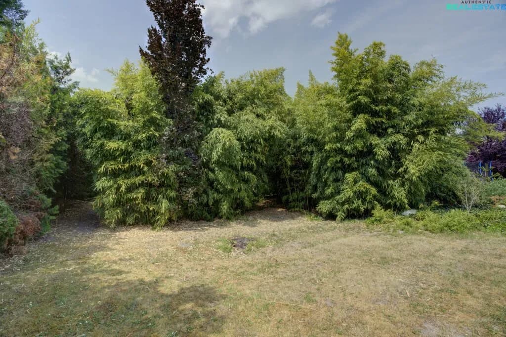 4-Zimmer-Haus kaufen in Korneuburg – 117,79 m², € 1.095.000 – Bild 2 von 14