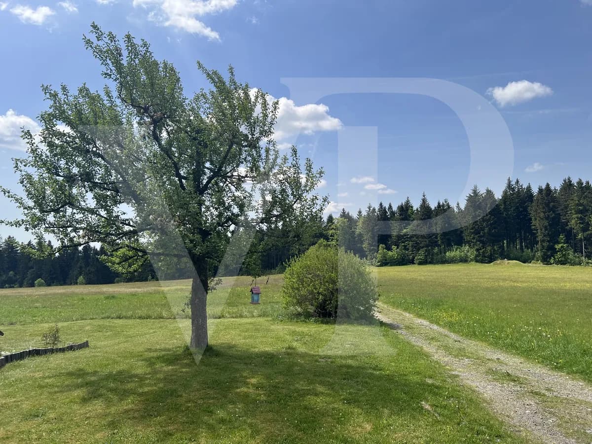 8-Zimmer-Gewerbeimmobilie kaufen in Rohrbach – 330 m², € 518.000 – Bild 7 von 28