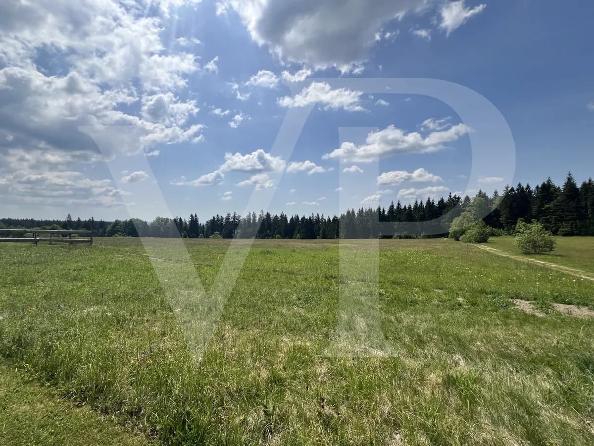 8-Zimmer-Gewerbeimmobilie kaufen in Rohrbach – 330 m², € 518.000 – Bild 11 von 28