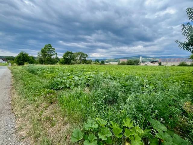 Immobilie kaufen in Deutschlandsberg – 8 000 m², € 440.000 – Bild 2 von 4