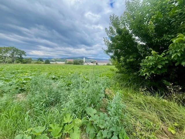 Immobilie kaufen in Deutschlandsberg – 8 000 m², € 440.000 – Bild 3 von 4