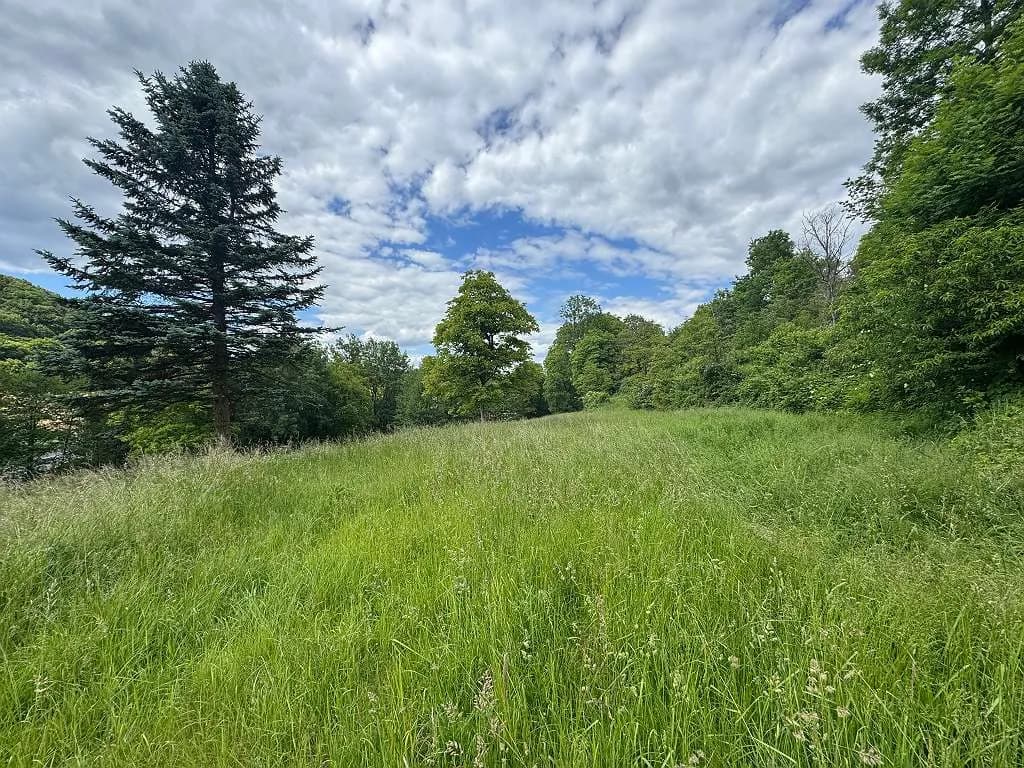 Grundstück kaufen in Südoststeiermark – 2 500 m², € 125.000