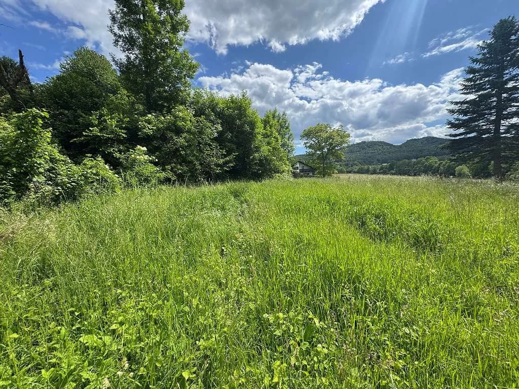 Grundstück kaufen in Südoststeiermark – 2 500 m², € 125.000 – Bild 2 von 17