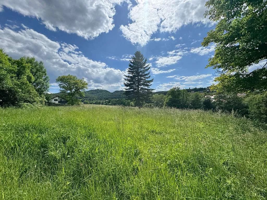 Grundstück kaufen in Südoststeiermark – 2 500 m², € 125.000 – Bild 3 von 17