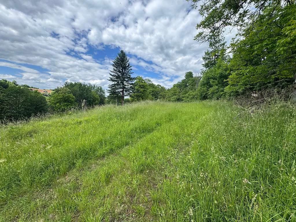 Grundstück kaufen in Südoststeiermark – 2 500 m², € 125.000 – Bild 12 von 17