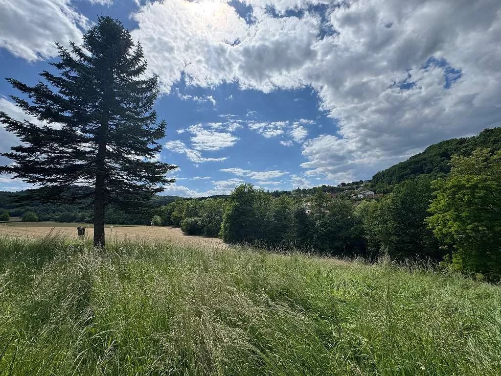 Grundstück kaufen in Südoststeiermark – 2 500 m², € 125.000 – Bild 13 von 17