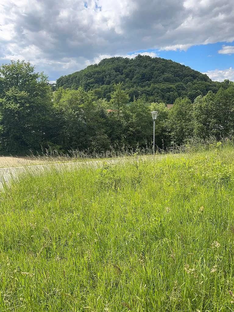 Grundstück kaufen in Südoststeiermark – 2 500 m², € 125.000 – Bild 14 von 17