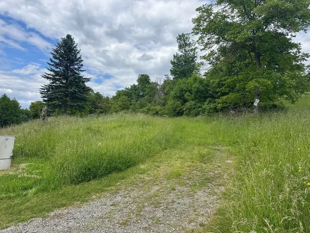 Grundstück kaufen in Südoststeiermark – 2 500 m², € 125.000 – Bild 17 von 17