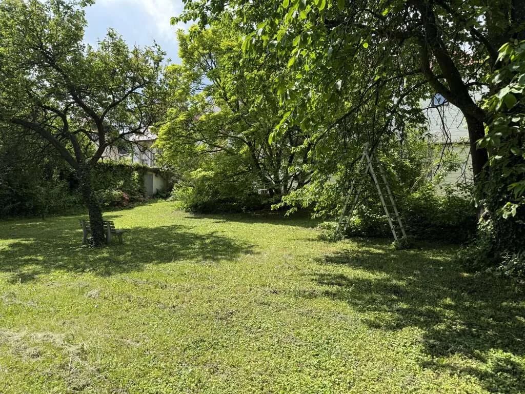 Haus kaufen in Mattersburg – 1 054 m², € 495.000 – Bild 13 von 14