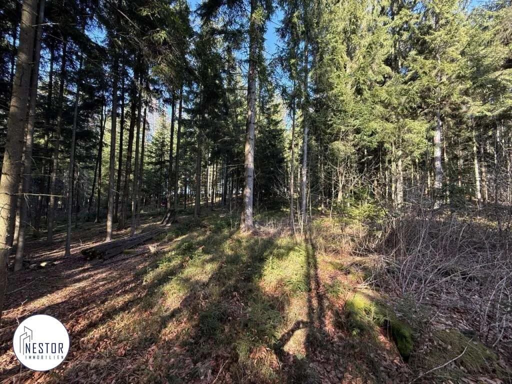 5-Zimmer-Haus kaufen in Gmünd – 165 m², € 400.000 – Bild 2 von 12