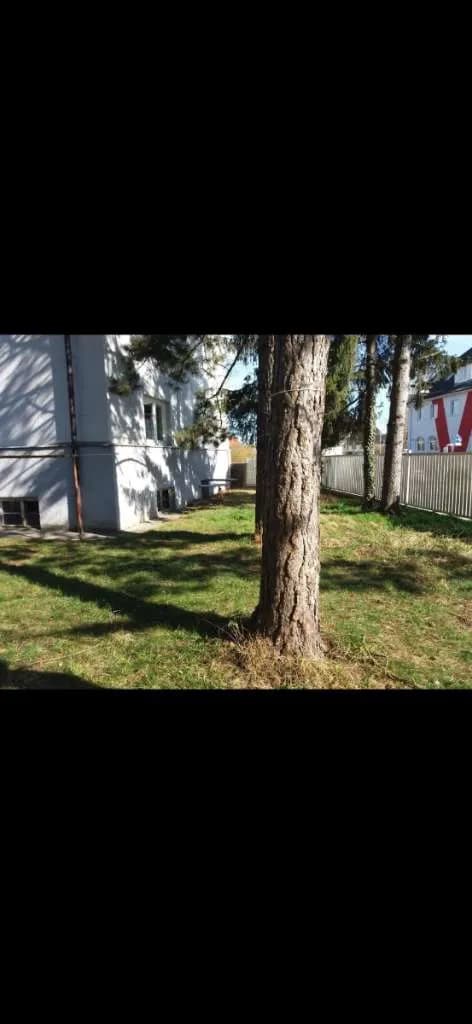 3-Zimmer-Wohnung mieten in Wels – 88 m², € 1.139 – Bild 10 von 14