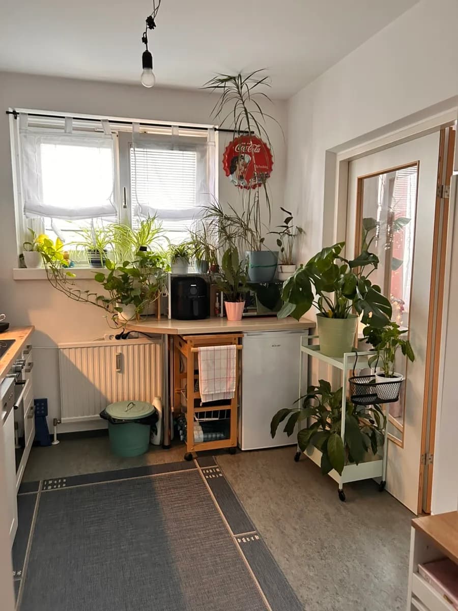 2-Zimmer-Wohnung mieten in Wien – 67 m², € 690 – Bild 6 von 9