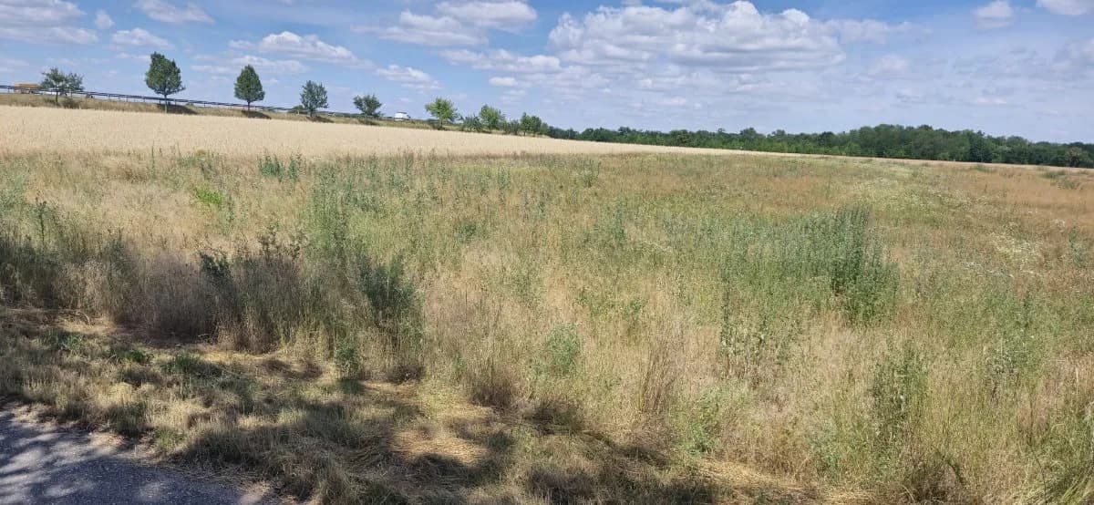 Grundstück kaufen in Mistelbach – 4 595 m², € 40.000 – Bild 2 von 2